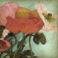 thumbnail image 3 of Goldberger, Jennifer 12x12 Black Modern Framed Museum Art Print Titled - Aquatic Poppies II, 3 of 5
