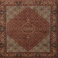 thumbnail image 1 of Ahgly Company Machine Washable Indoor Square Traditional Gold Brown Area Rugs, 5' Square, 1 of 7