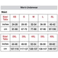 thumbnail image 3 of Hanes-Hanes Ultimate Dyed Brief-Assorted-2X Large, 3 of 3