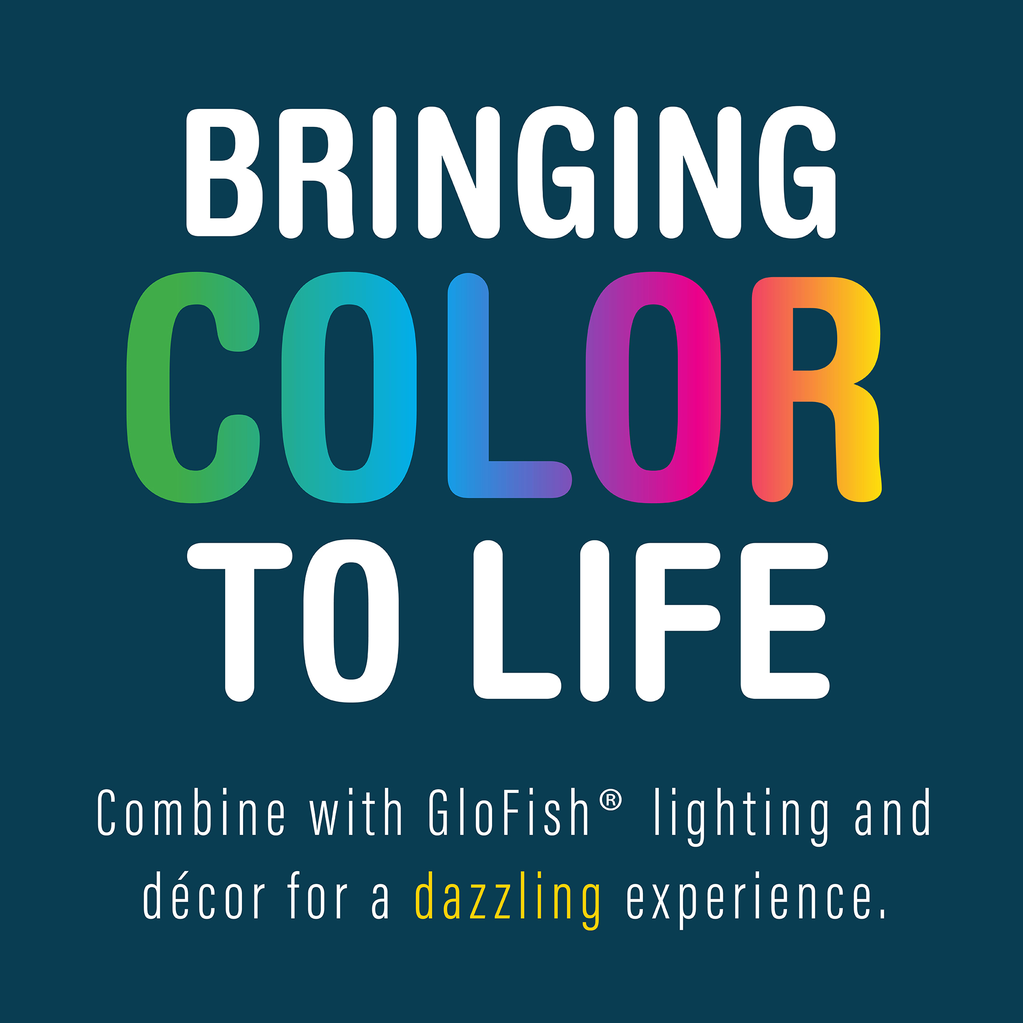 GloFish 5 Gallon Aquarium Starter Kit with LED Lighting photo 8