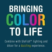 GloFish Betta Shadowbox Aquarium Kit 3 Gallons, Includes LED Lighting and Filter