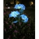 thumbnail image 1 of Luz solar de hydrangea, luz solar de flor hydrangea, luz decorativa para jardín, luz solar recargable por sol, luz solar para exterior, luz solar portátil con luz LED, luz solar de metal, 1 of 9