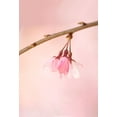 thumbnail image 2 of Passion, F4 18x24 Gold Ornate Wood Framed with Double Matting Museum Art Print Titled - The Icon Of Spring, 2 of 4