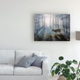 thumbnail image 3 of Trademark Fine Art 'Deer Path IV' Canvas Art by B. Lynnsy, 3 of 4