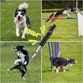 thumbnail image 6 of MUMQAQ 2 Pack Dog Whistle to Stop Barking Professional Adjustable Ultrasonic Dog Training Whistle, 6 of 8