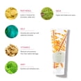 thumbnail image 3 of 100% PURE Kelp & Mint Volumizing Shampoo Purifying Hydration & Deep Detox - Botanical Body Boost for Dry, Damaged Thinning Hair, Promotes Healthy Growth for Women & Men - Sulfate Free - 8 Fl Oz, 3 of 8