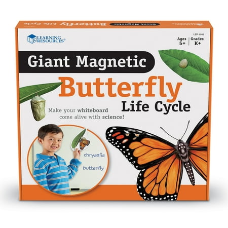UPC 765023060430 product image for Learning Resources Giant Magnetic Butterfly Life Cycle - 10 Pieces  Ages Boys an | upcitemdb.com