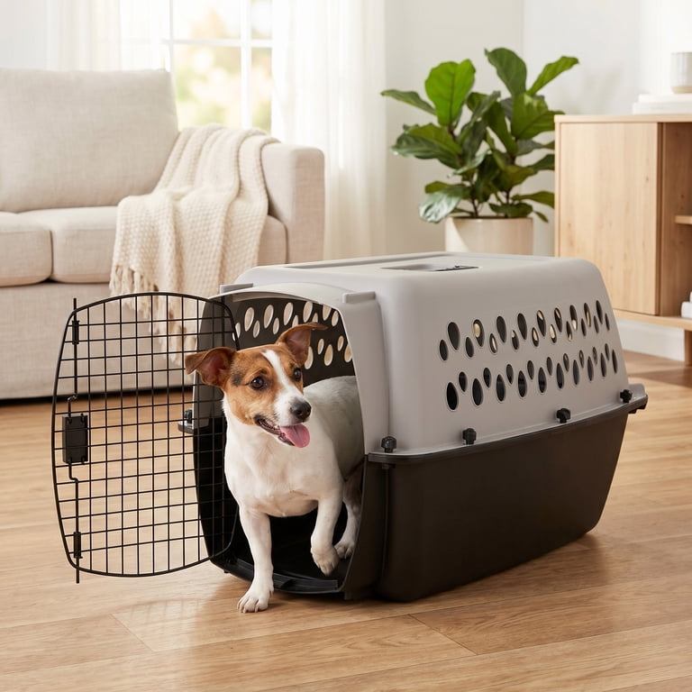 Vibrant Life Small/Medium Hard-Sided Pet Carrier, Black and Gray
