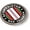 Semi-Flexible Aluminum Bezel, variant on BestLicensePlateFrames Afghanistan War Veteran 3D Domed CAR Emblem Badge Sticker Flexible Round