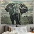 thumbnail image 2 of BCIIG Elephant Tapestry Wall Hanging Unique Style Graphic Tapestries Home Wall Decor Art for Living Room Bedroom Apartment Farmhouse Dorm 40x60inch, 2 of 6