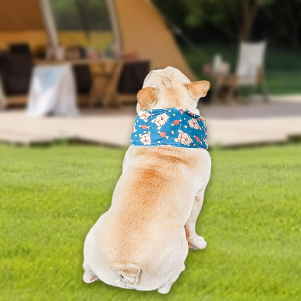 Pañuelo para perros, cuello ajustable, portátil, cuello para mascotas, collar de verano para climas cálidos, camping al aire Azul y L