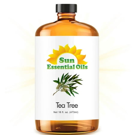 Bulk Tea Tree Oil - Ultra 16 Ounce - 100% Pure Essential Oil (Best 16 fl oz / 472ml) - Sun
