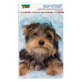 thumbnail image 1 of Yorkie Yorkshire Terrier Dog Resting With Blue Hat Home Business Office Sign, 1 of 7