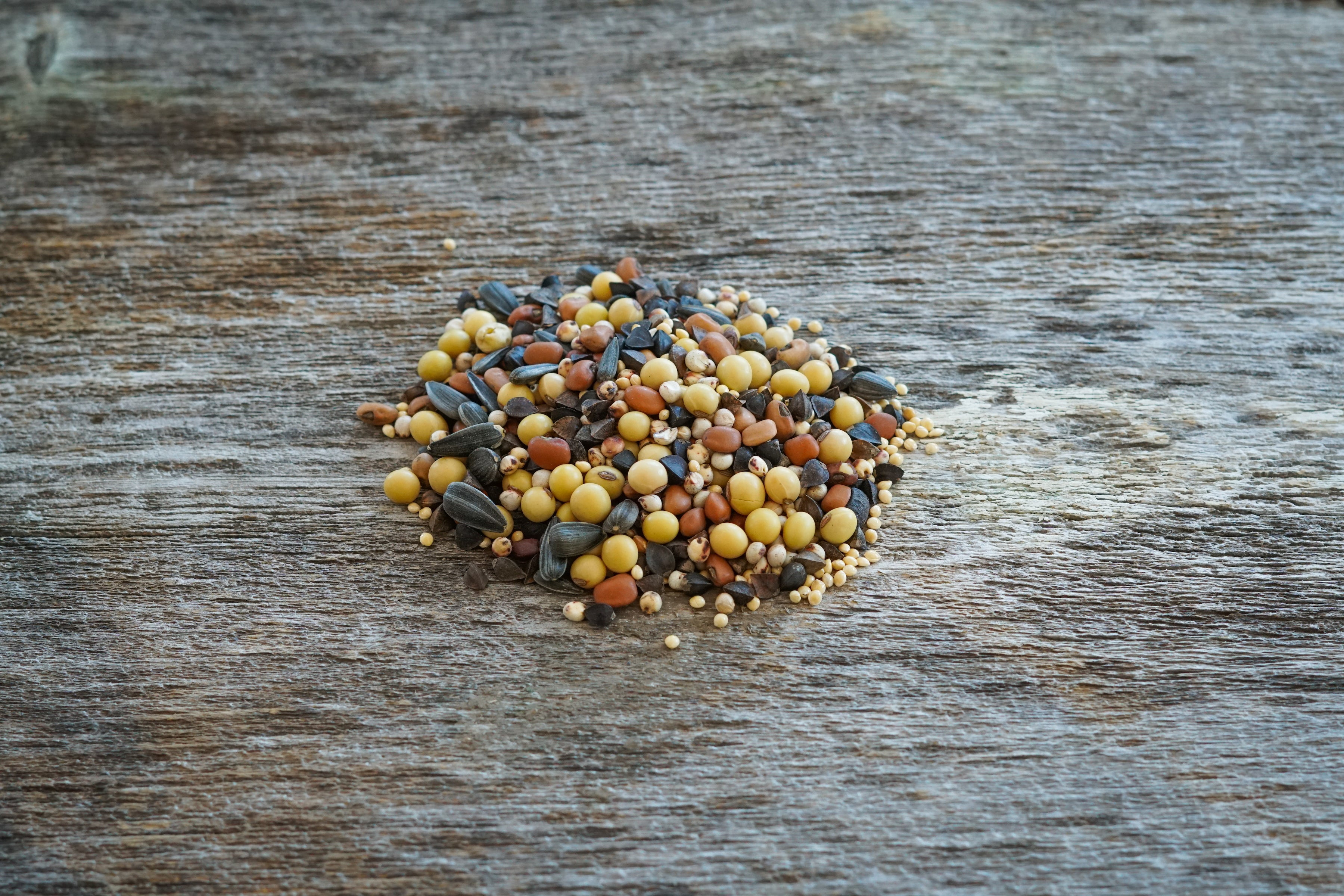 Hale Habitat & Seed Deer & Upland Bird Blend Food Plot Seed Mix, 1/4 Acre