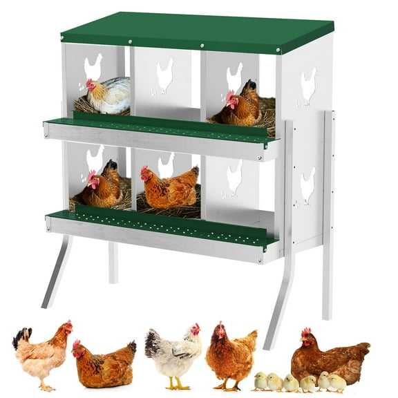 Chicken Nesting Box with 6 Compartments – Metal Laying Box with Perch, Secure Lid & Metal Legs, Wall-Mount or Free-Standing, Easy to Clean, Green