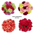 thumbnail image 4 of Mini Carnation Flower Bunch Small, Colors May Vary, 4 of 8
