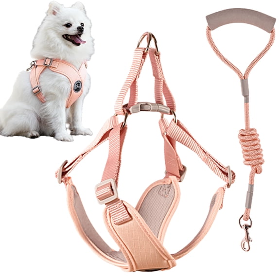 Dog Harness Vest Adjustable, Breathable Pet Harness with Leash Set, No Pull Soft Mesh Dog Vest for Small Dogs