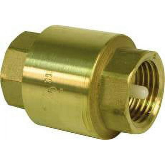 PROPLUS GIDDS-270874 Check Valve In-Line, 1-1/4" Fip, Lead Free