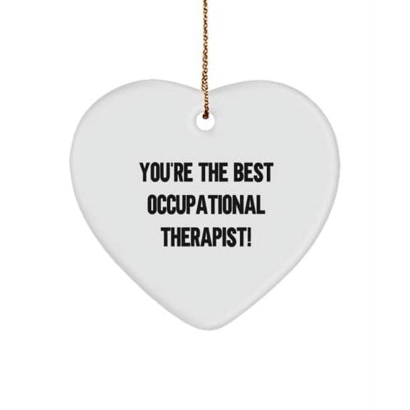 You're The Best Occupational Therapist! Heart Ornament, Occupational Therapist , Inappropriate Gifts for Occupational Therapist