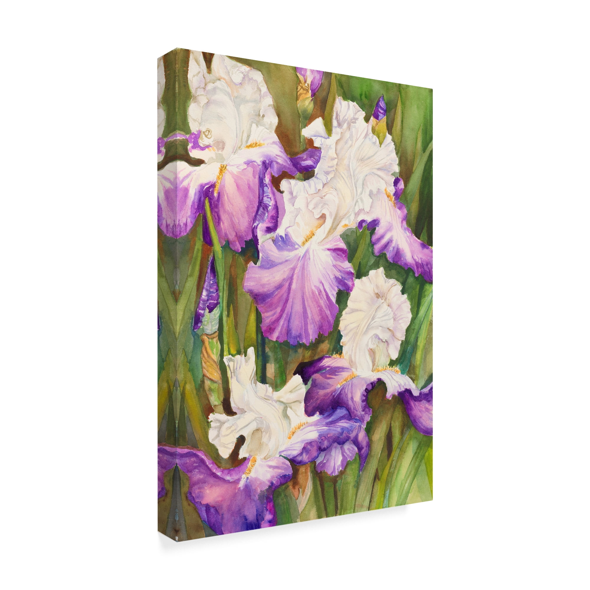 Trademark Fine Art 'Lavender Iris' Canvas Art by Joanne Porter