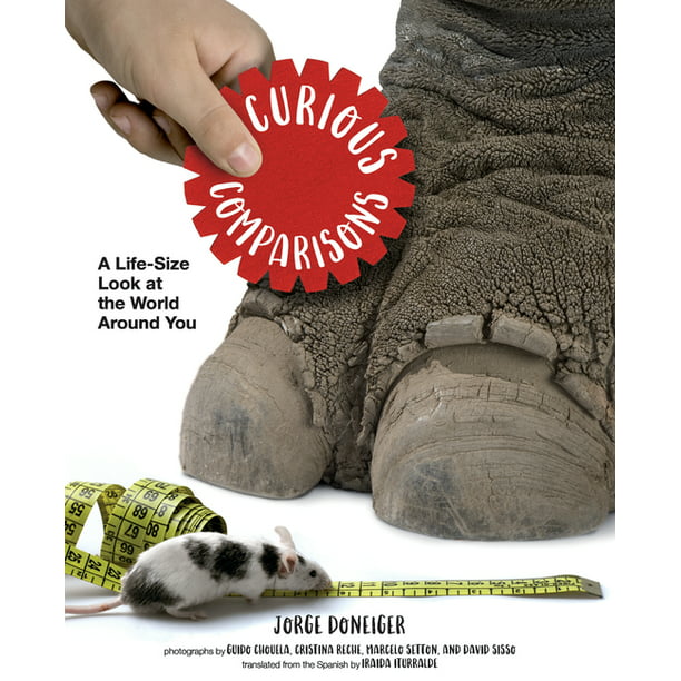 Curious Comparisons: A Life-Size Look at the World Around You - non-fiction books