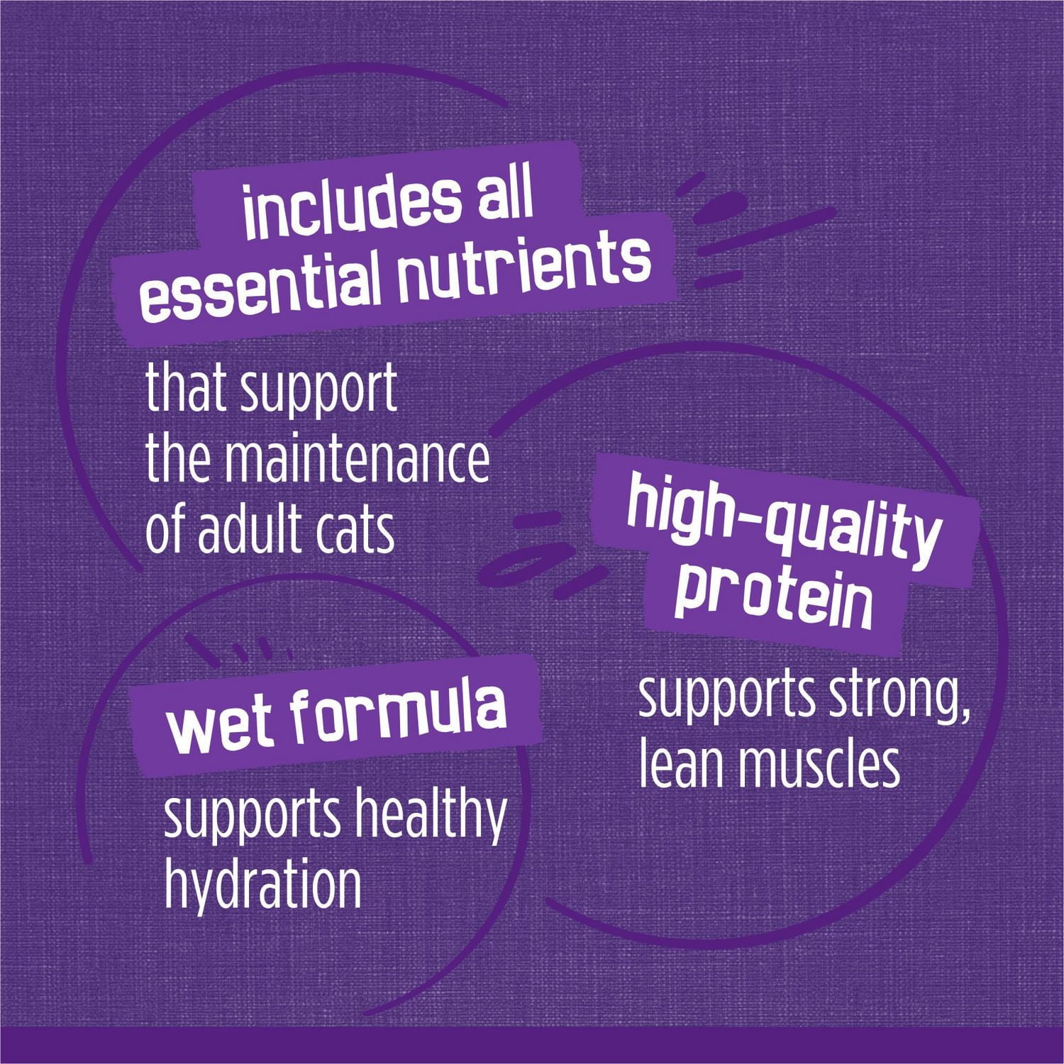 Friskies Turkey Experience Super Pack Variety Pack, Wet Cat Food 32 x 156 g, 156 g x 32