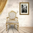 thumbnail image 3 of Berzel, Erin 17x24 Gold Ornate Wood Framed with Double Matting Museum Art Print Titled - Doorway and Roots I, 3 of 4