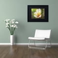 thumbnail image 3 of Trademark Fine Art "Lily of the Incas" Canvas Art by Lois Bryan Black Matte, Black Frame, 3 of 4