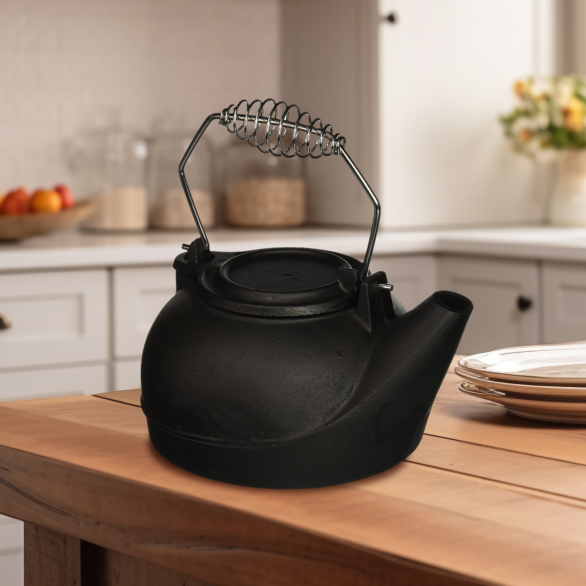 Panacea Fireplace Cast Iron Wood Stove Kettle Humidifier with Chrome Handle