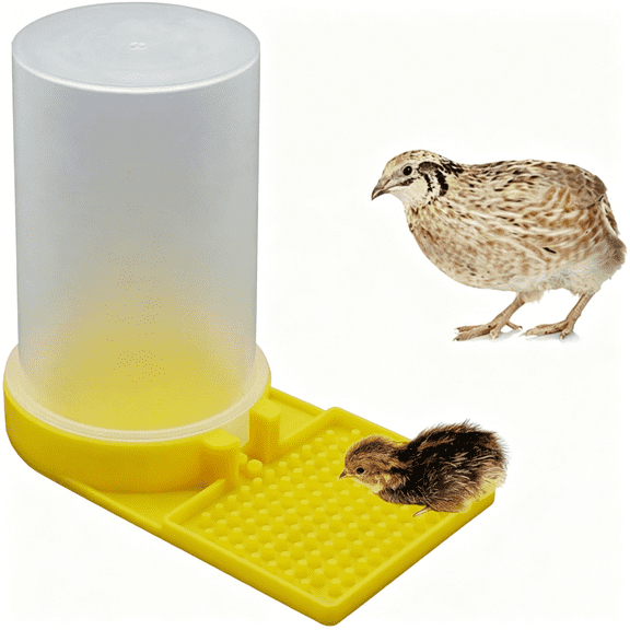 ZULAR Baby Bird Quail Yellow Water Feeder