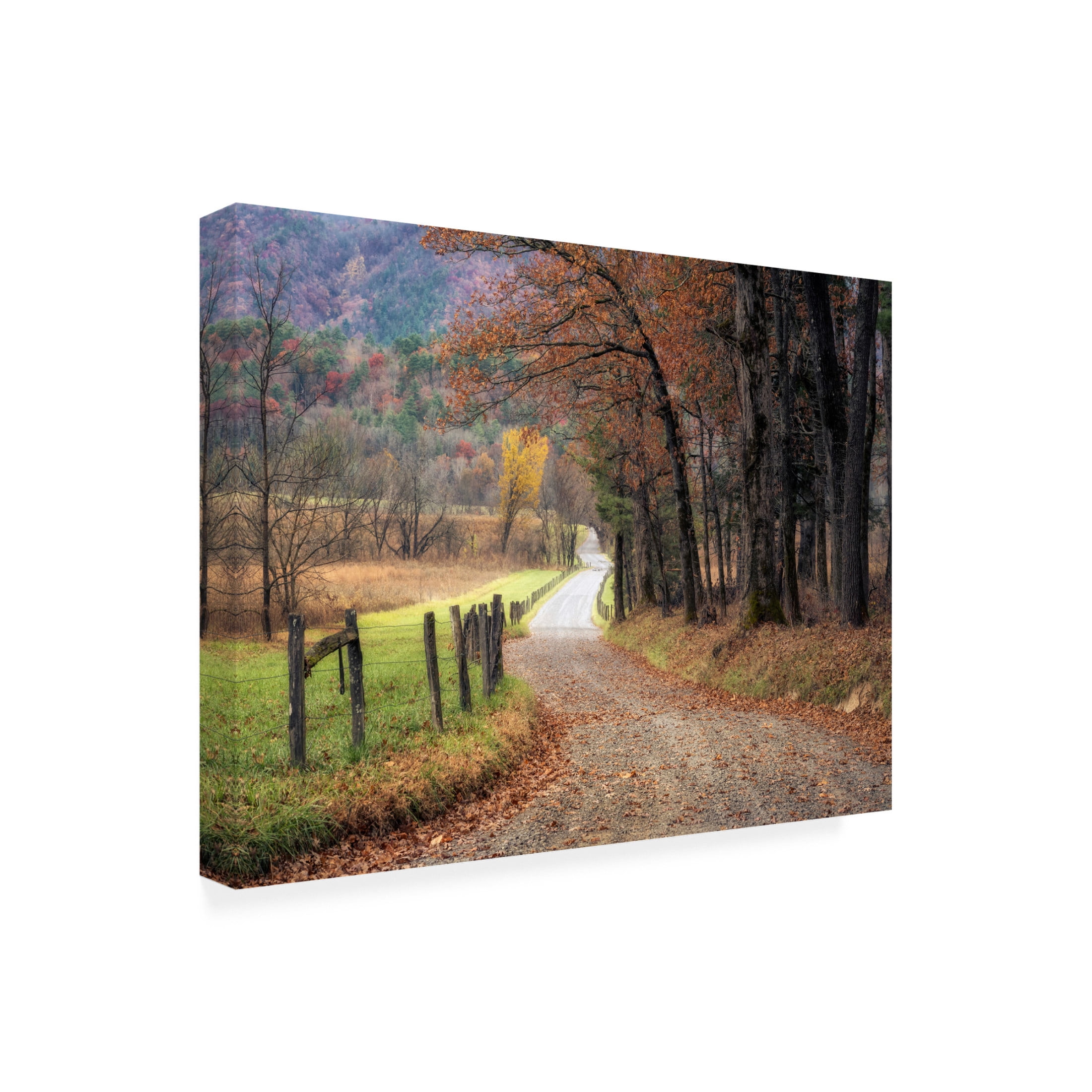 Canvas Wall Art - Danny Head 'Autumn Drive I' Wall Art for Living Room, Bedroom, or Office Décor by Trademark Fine Art - 19 x 14 Inches