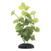 Marina Ecoscaper Hydrocotyle Silk Plant, 8 in.