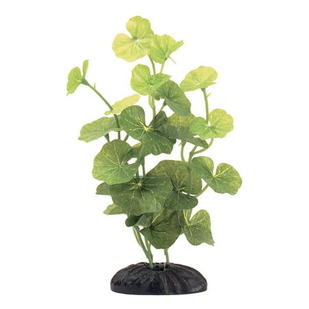 Marina Ecoscaper Hydrocotyle Silk Plant, 8 in.