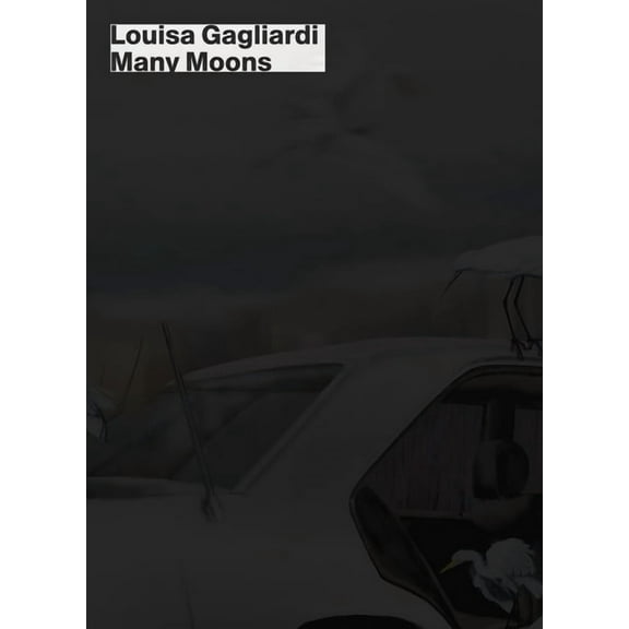 Louisa Gagliardi: Many Moons, (Paperback)