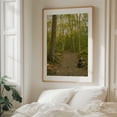 thumbnail image 5 of Ferncliff Forest, Rhinebeck 01 - Rhinebeck New York Photography Forest Nature Landscape Scenic Rustic Autumn Botanical Oak Framed Wall Art Print 12 x 16 inches, 5 of 12
