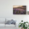 thumbnail image 3 of Trademark Fine Art 'Field of Lupines' Canvas Art by Danny Head, 3 of 4