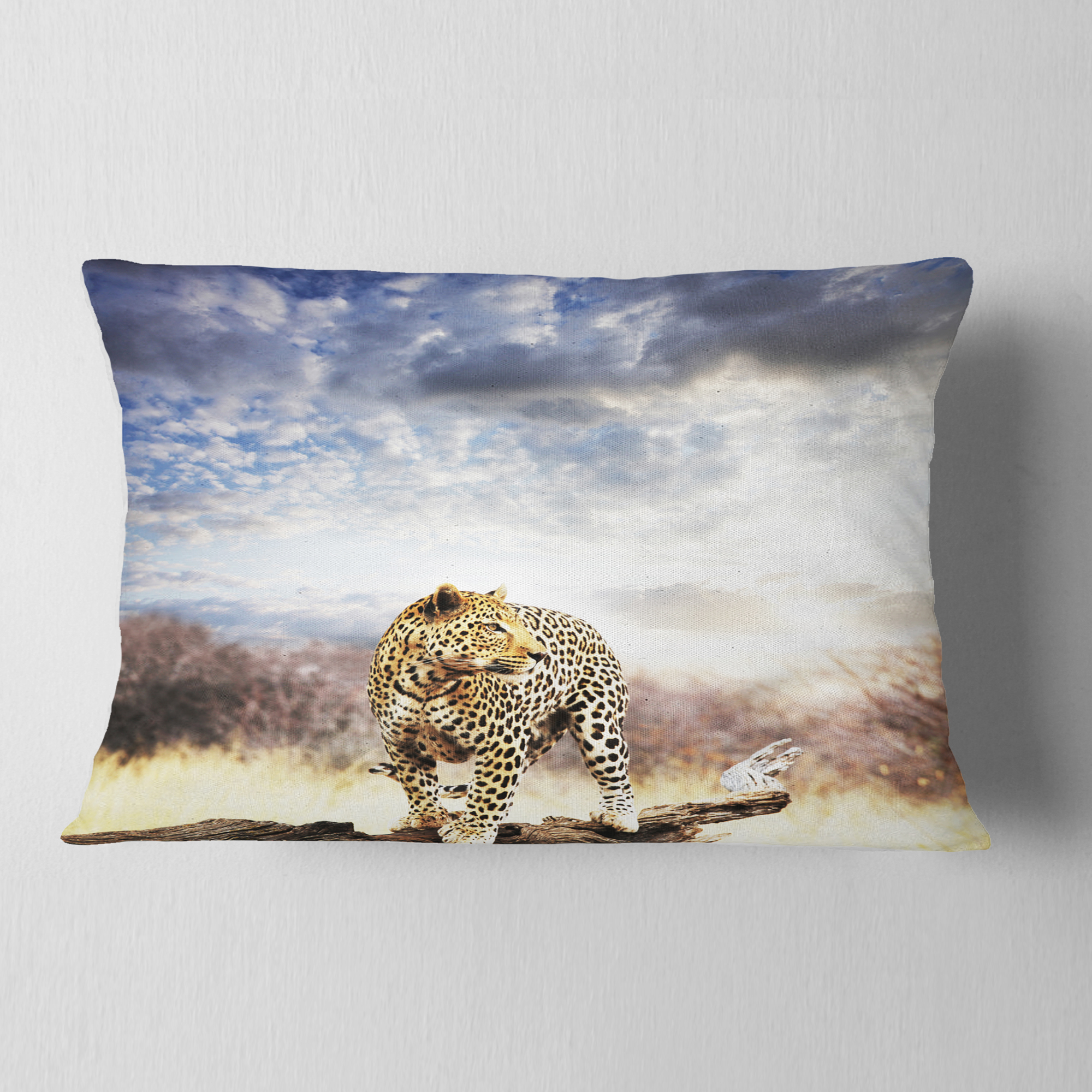 Designart Leopard Walking under Cloudy Sky - African Throw Pillow - 12x20