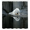 thumbnail image 3 of Ambesonne Bear Shower Curtain, Sleeping Calm Zoo Animal, 69"Wx75"L, Cream Grey Black, 3 of 3