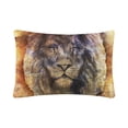 thumbnail image 3 of MKHERT Vintage Lion Animal Pillowcase Pillow Protector Cushion Cover 20x30 inch,Set of 2, 3 of 3