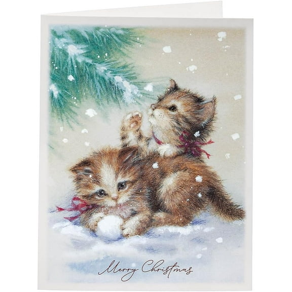 Wonder and Joy Christmas Card Set of 20