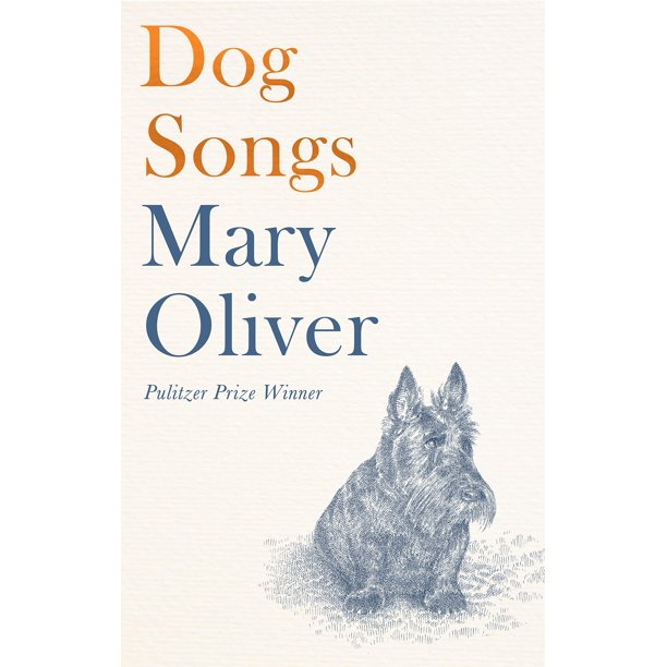 Libro Canciones de perros: poemas de Corsair