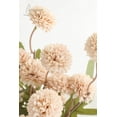 thumbnail image 4 of Pompón Floroom Mum de seda sintética con flores artificiales, 5 unidades, color beige, 4 of 4