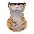 thumbnail image 1 of QJUHUNG 4pcs Winter Balaclava Cat Ski Mask Windproof With Ears Cute Full Face Animal Ski Face Mask for Outdoor Hiking Riding Bar Music Festivals Party Raves Halloween, 1 of 2