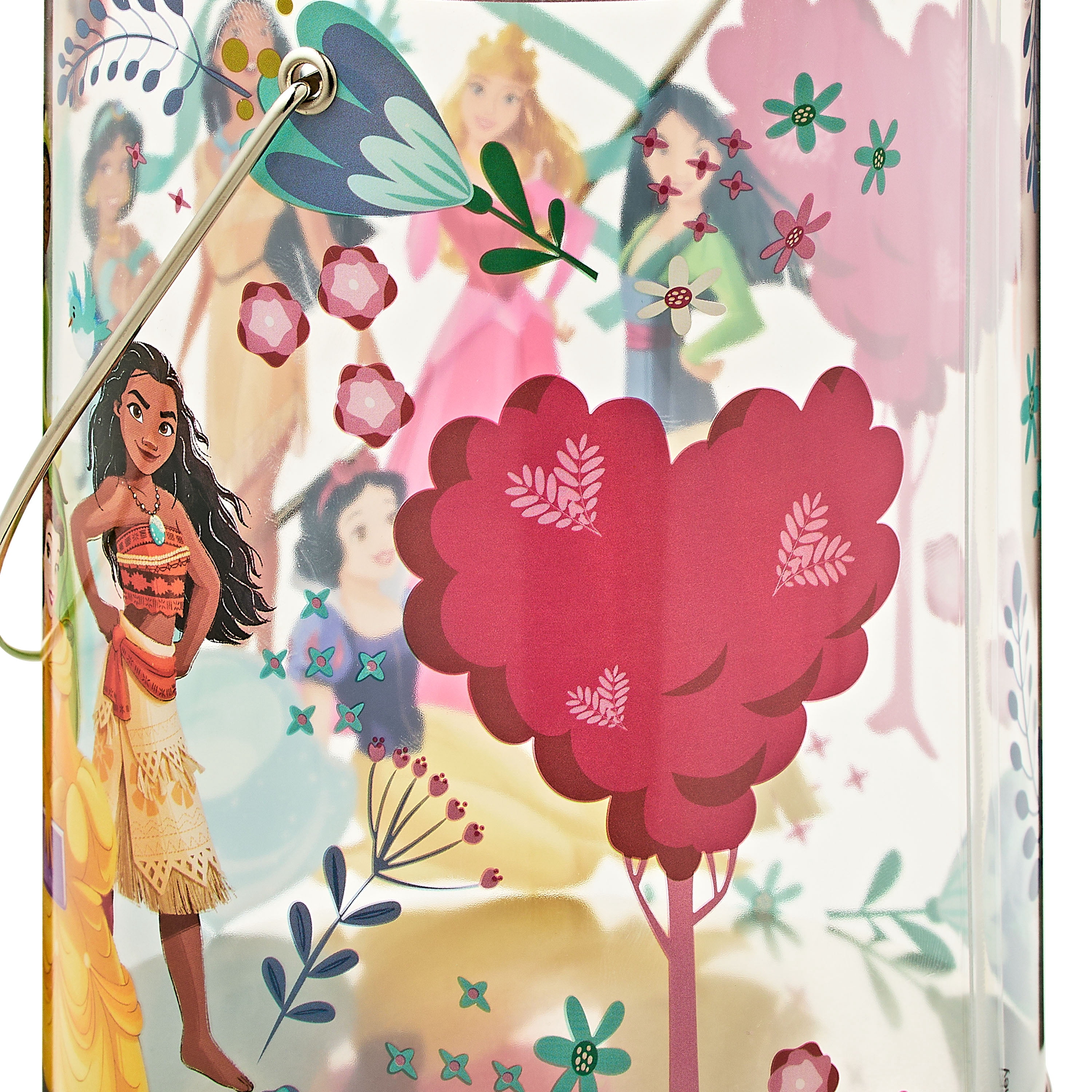 Disney Clear Princess Mailbox, 1 Count, New, 6 Inches High