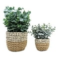thumbnail image 4 of Set Of 3 Realistic Artificial Botanica Fern Eucalyptus Plant In Chic Woven Pots, 4 of 6