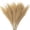 S5, variant on 10pcs Fluffy Pampas Grass Artificial Simulation Plant Flowers for Wedding Boho Bouquet Home Party Decoration Reed Floral Decor