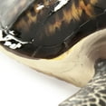 thumbnail image 3 of Zentique SHI042 10 x 3.5 x 11.75 in. Sea Turtle Sculpture, Black & Cream - Small, 3 of 5