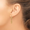 thumbnail image 3 of Primal Gold 14 Karat Yellow Gold Dangle Leverback Earrings, 3 of 4