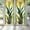 Snake Plant, variant on 89Bloom 17.7 x39.4 Inches Decorative ZZ Plant Stained Glass Window Film, Window Film for Glass Door Heat Control Anti UV