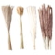 thumbnail image 1 of Flores secas de junco Jadeshay Hierba de pampa seca natural 50 pasto de cola de conejo 15 pampas blancas 15 pampas marrones 20 pasto de caña, 1 of 12